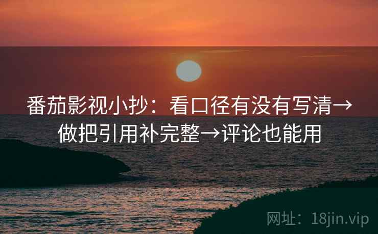 番茄影视小抄：看口径有没有写清→做把引用补完整→评论也能用